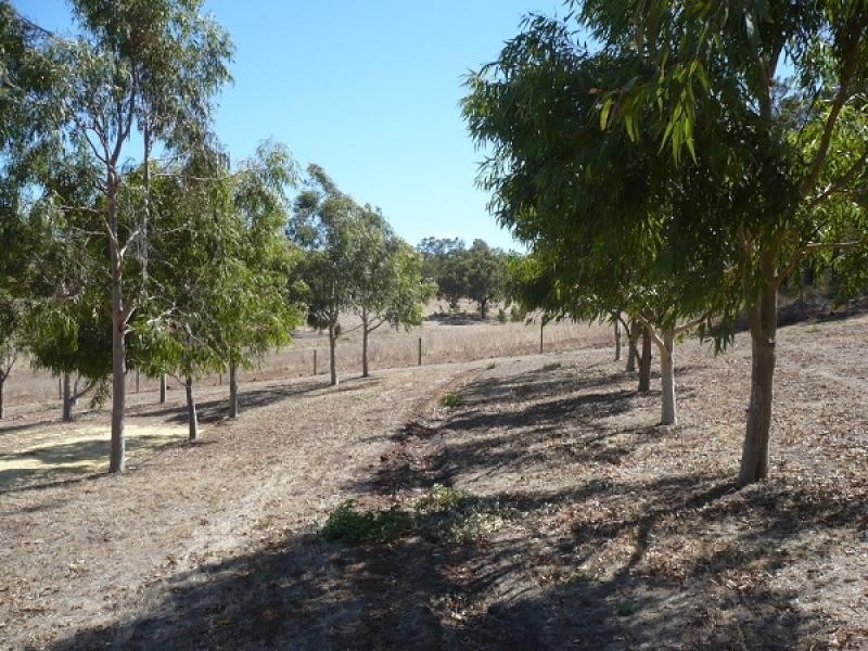 29 Verdelho Pl, Lower Chittering WA 6084