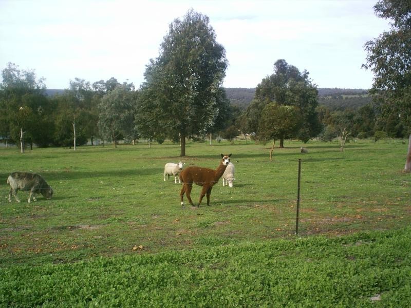 270 Ayrshire Loop, Lower Chittering WA 6084