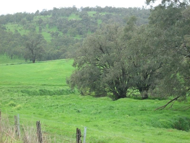 Lot 841 Chittering Rd, Chittering WA 6084