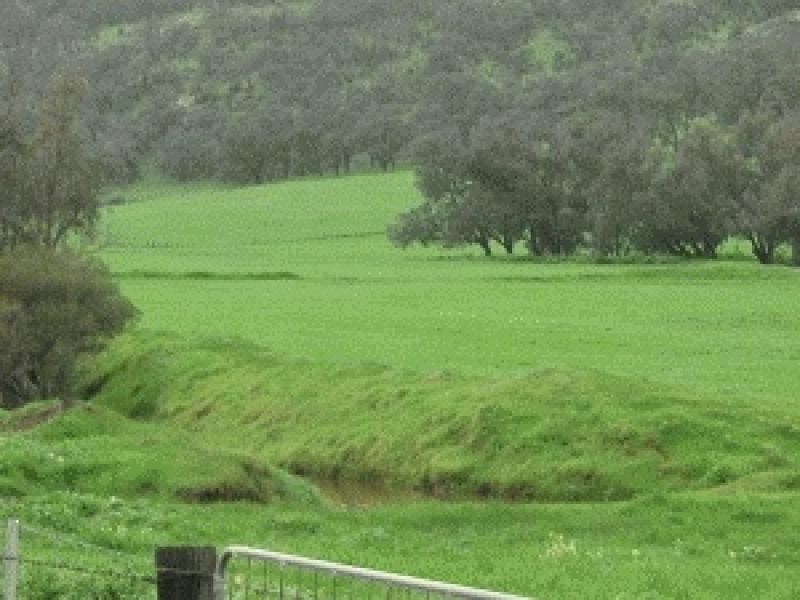 Lot 841 Chittering Rd, Chittering WA 6084