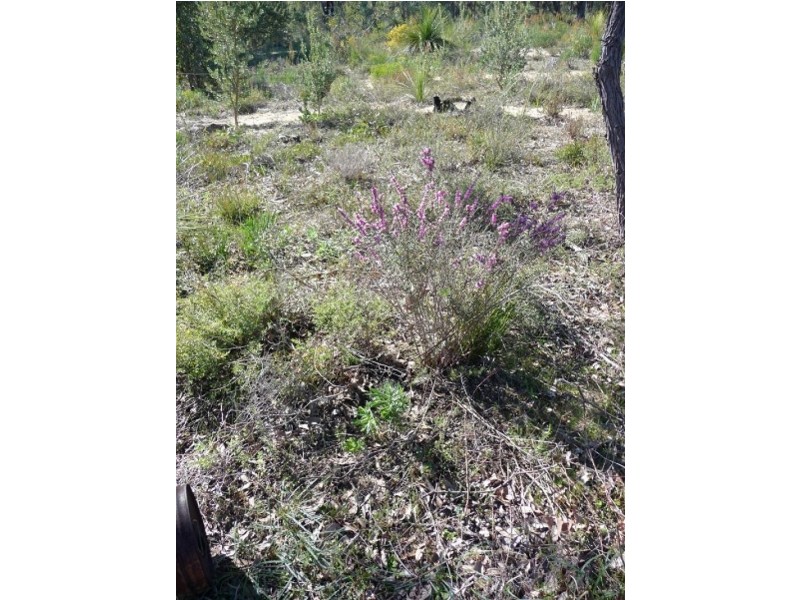 257 Jenkins Rd, Bullsbrook WA 6084