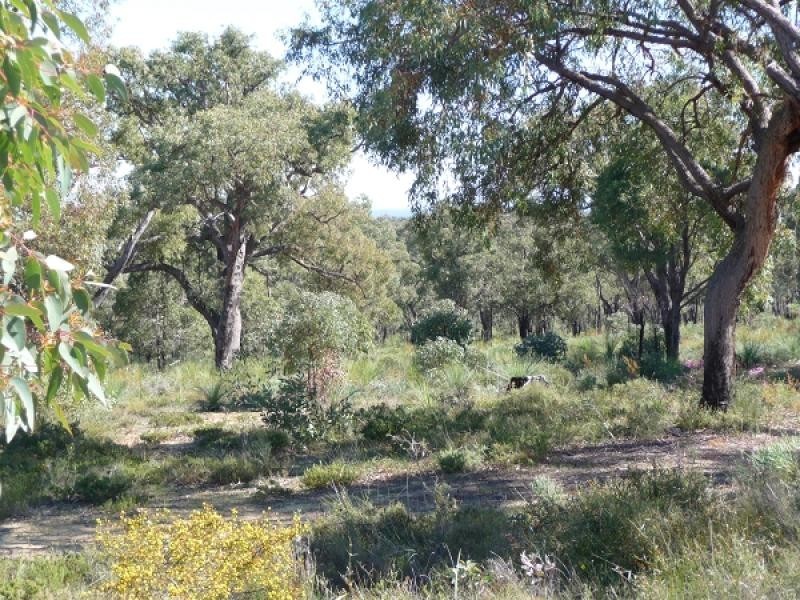 257 Jenkins Rd, Bullsbrook WA 6084