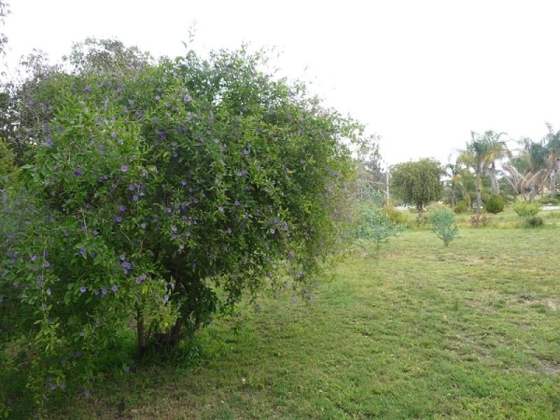 51 Robinson Street, Gingin WA 6503