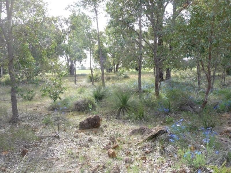 173 Morrissey Rd, Bullsbrook WA 6084