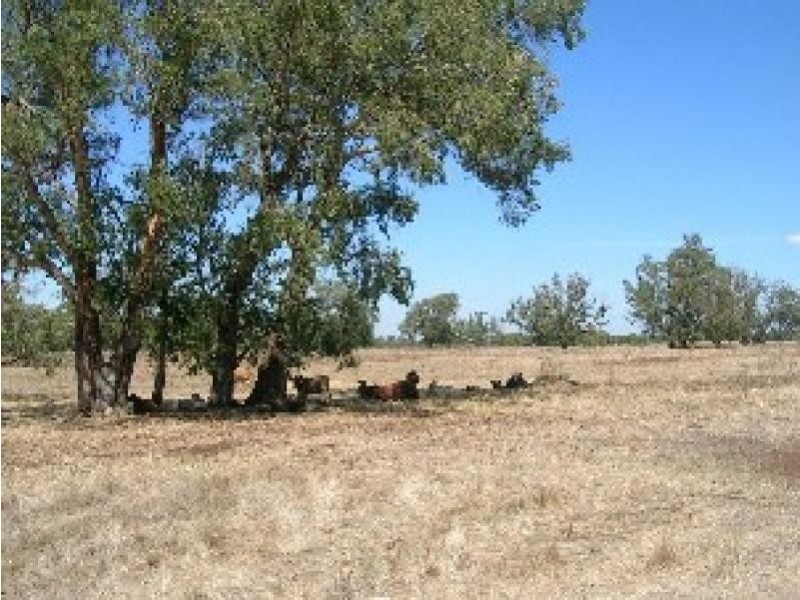 1913 Great Northern Highway, Bullsbrook WA 6084