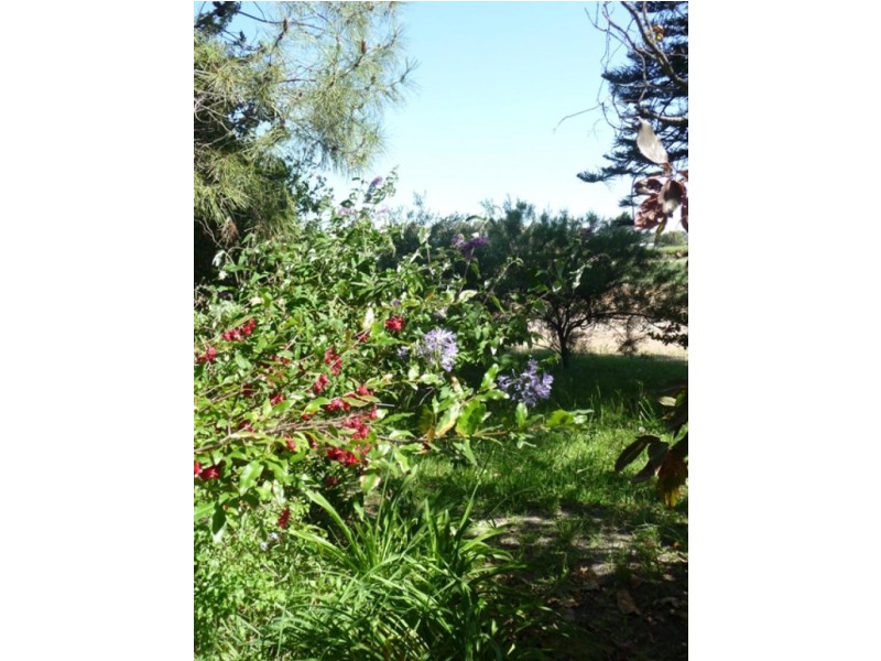 Lot 9 Caversham Ave, Caversham WA 6055