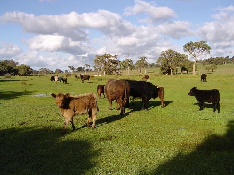 279 Red Gully Road, Gingin WA 6503