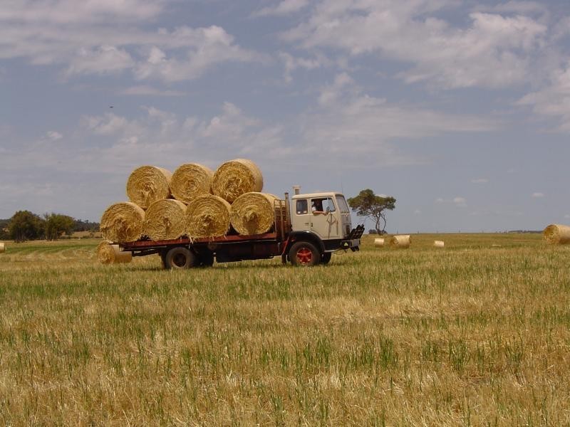 279 Red Gully Road, Gingin WA 6503