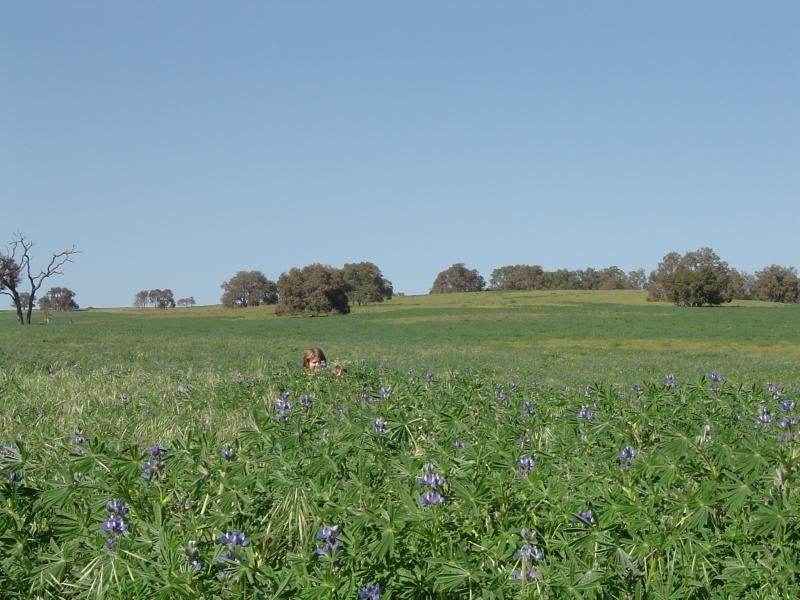 279 Red Gully Road, Gingin WA 6503