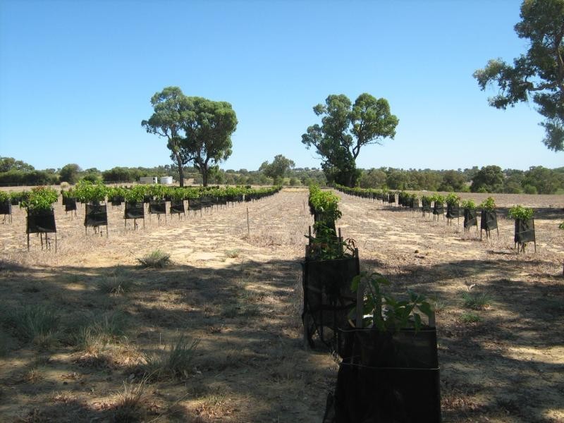 Lot 218 Rangeview Drive, Wanerie WA 6503