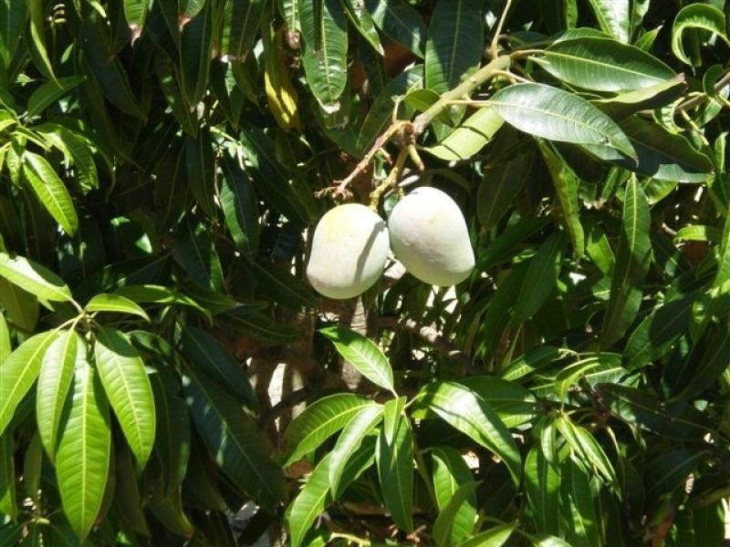 Lot 218 Rangeview Drive, Wanerie WA 6503