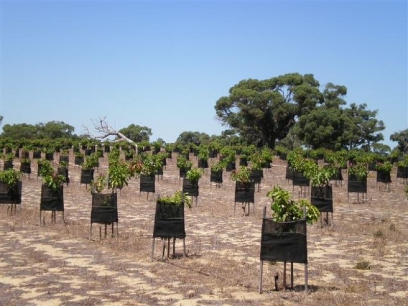 Lot 218 Rangeview Drive, Wanerie WA 6503