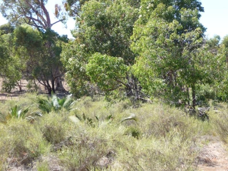 184 Wisteria Way, Chittering WA 6084
