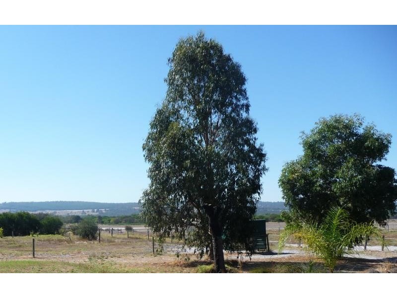 56 Almeria Pde, Bullsbrook WA 6084