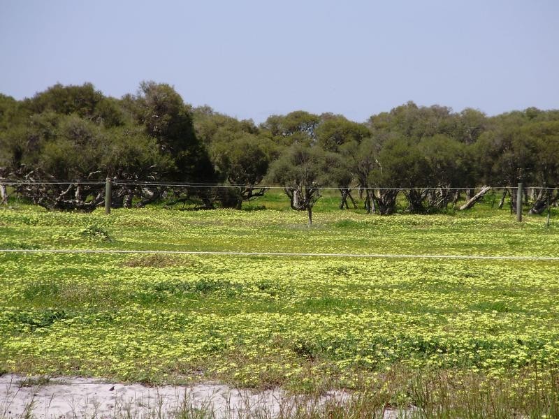 56 Almeria Pde, Bullsbrook WA 6084