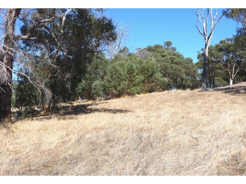 166 Ridgewood Loop, Bullsbrook WA 6084