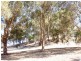 166 Ridgewood Loop, Bullsbrook WA 6084