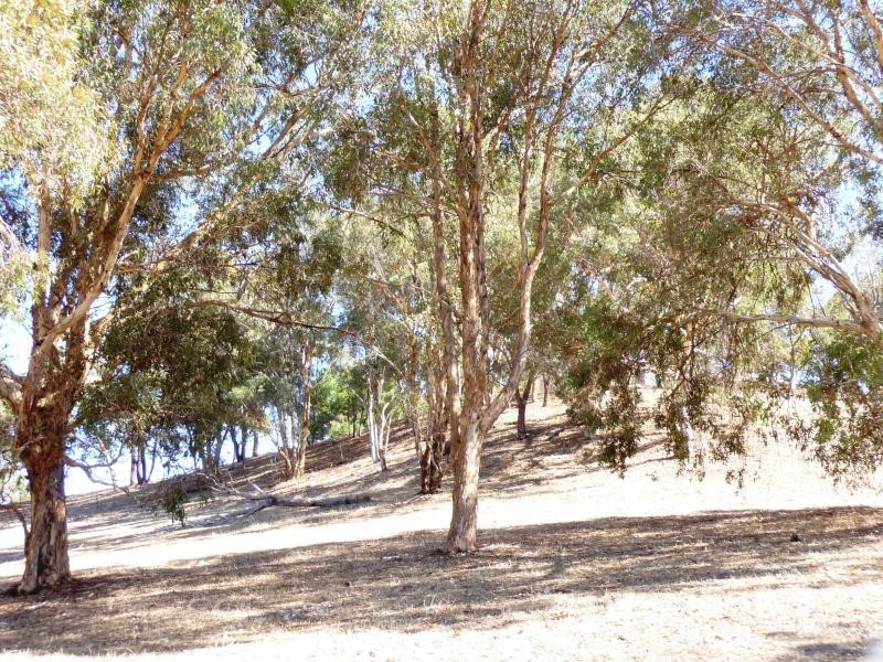 166 Ridgewood Loop, Bullsbrook WA 6084