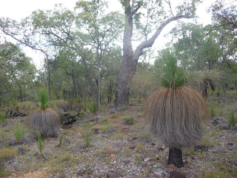 Lot 407 cnr of Willaring Way & Patersonia Road, Chittering WA 6084