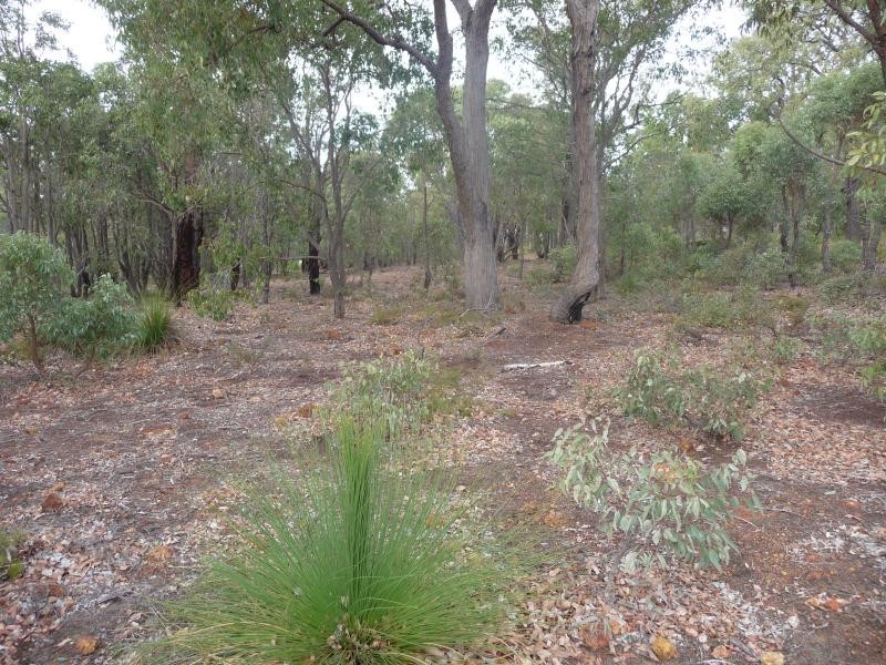 Lot 407 cnr of Willaring Way & Patersonia Road, Chittering WA 6084
