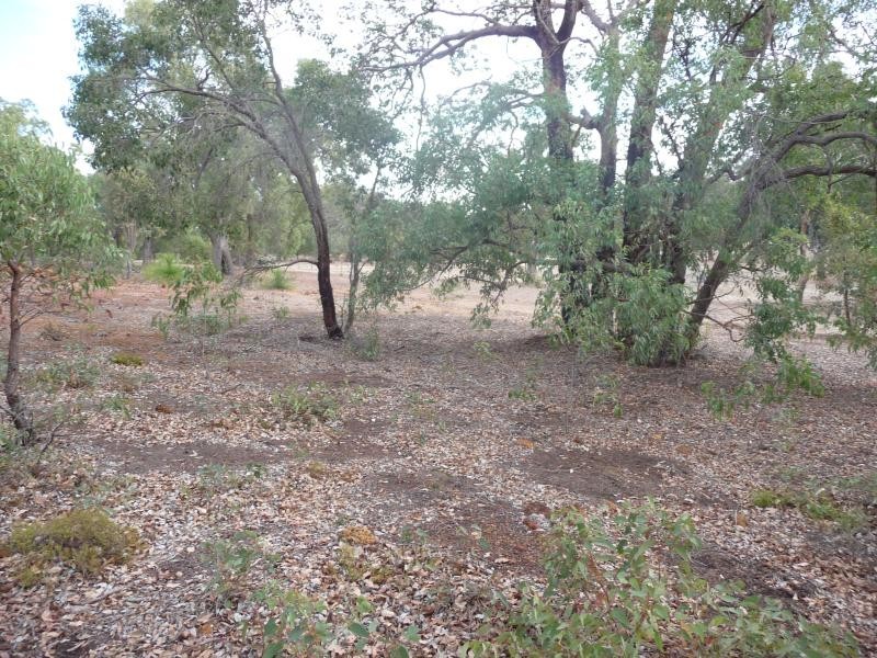 Lot 407 cnr of Willaring Way & Patersonia Road, Chittering WA 6084