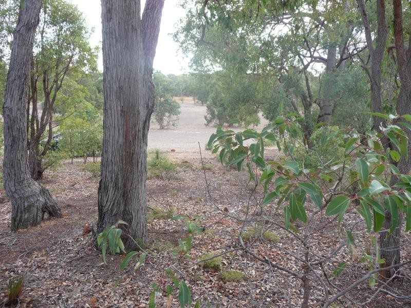 Lot 407 cnr of Willaring Way & Patersonia Road, Chittering WA 6084