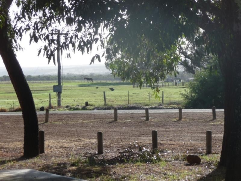 19 Brockholes Street, Bullsbrook WA 6084