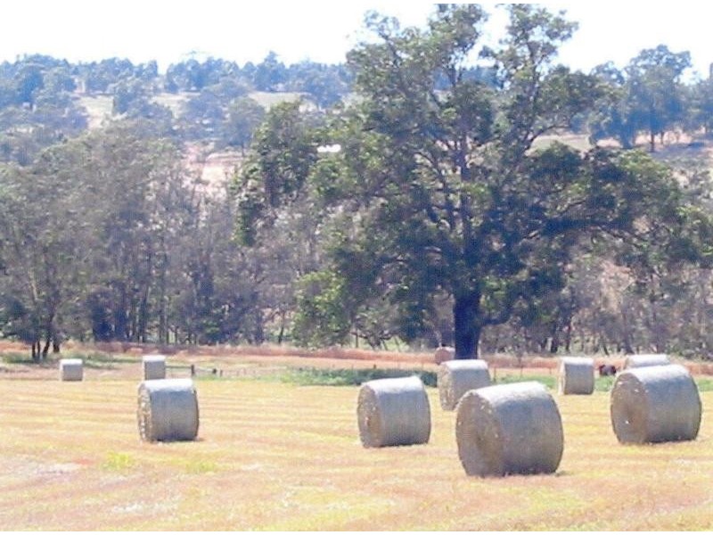 515 Blue Plains Road, Chittering WA 6084