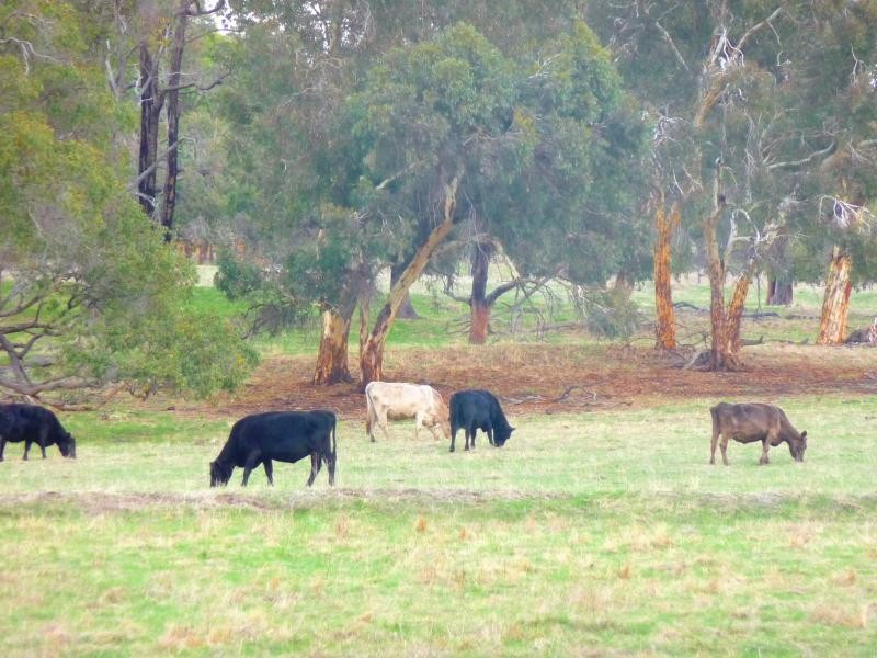 515 Blue Plains Road, Chittering WA 6084