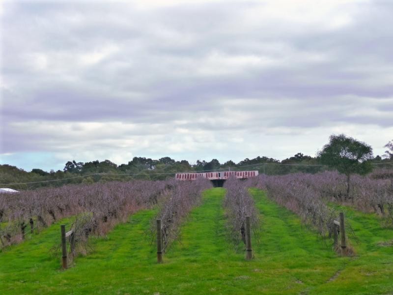 131 Swan Street, Henley Brook WA 6055