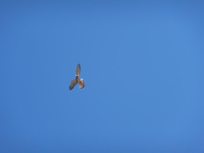 Lot 190 Shady Hills View, Bullsbrook WA 6084