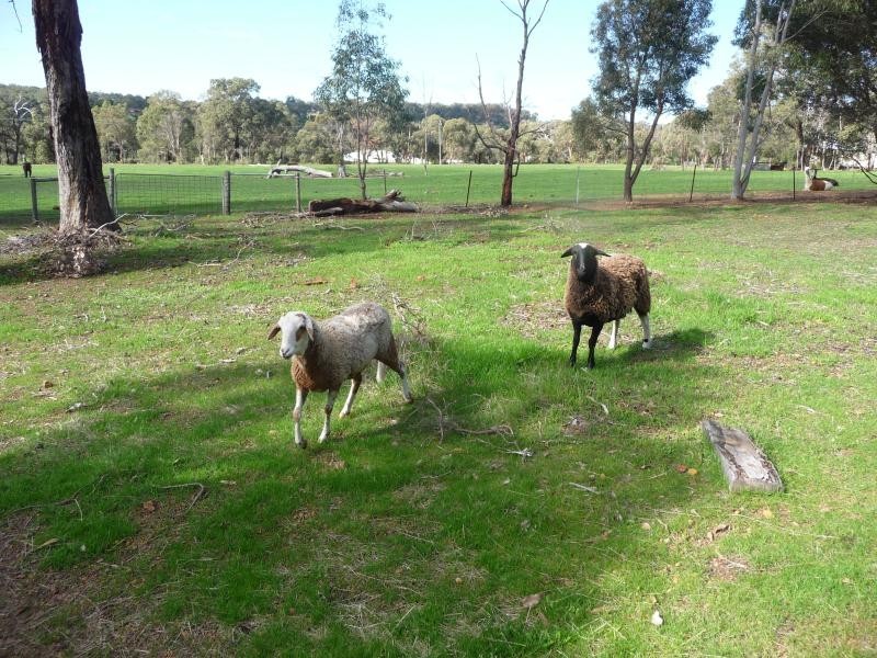 17 Rhys Rd, Bullsbrook WA 6084