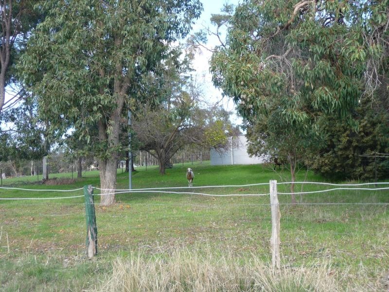 17 Rhys Rd, Bullsbrook WA 6084