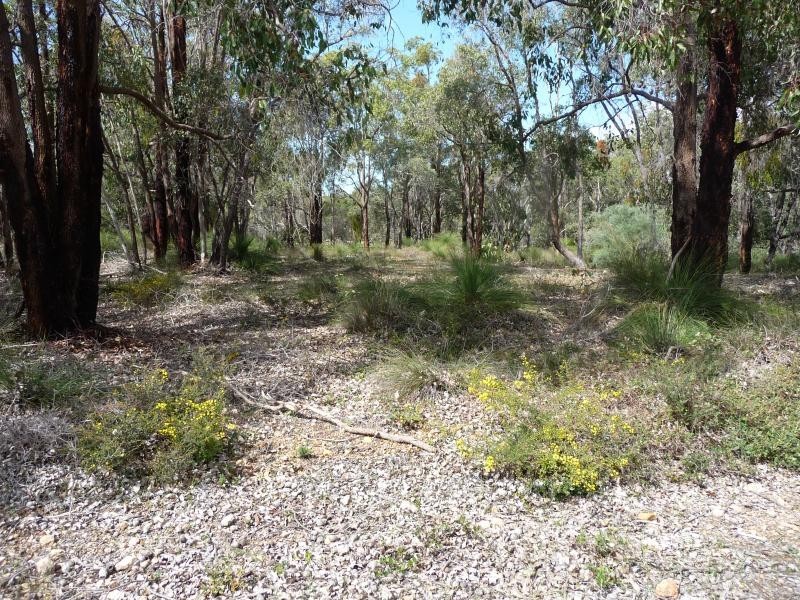 48 Ridgetop Trail, Bullsbrook WA 6084