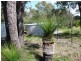 48 Ridgetop Trail, Bullsbrook WA 6084