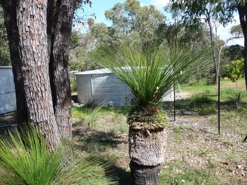 48 Ridgetop Trail, Bullsbrook WA 6084
