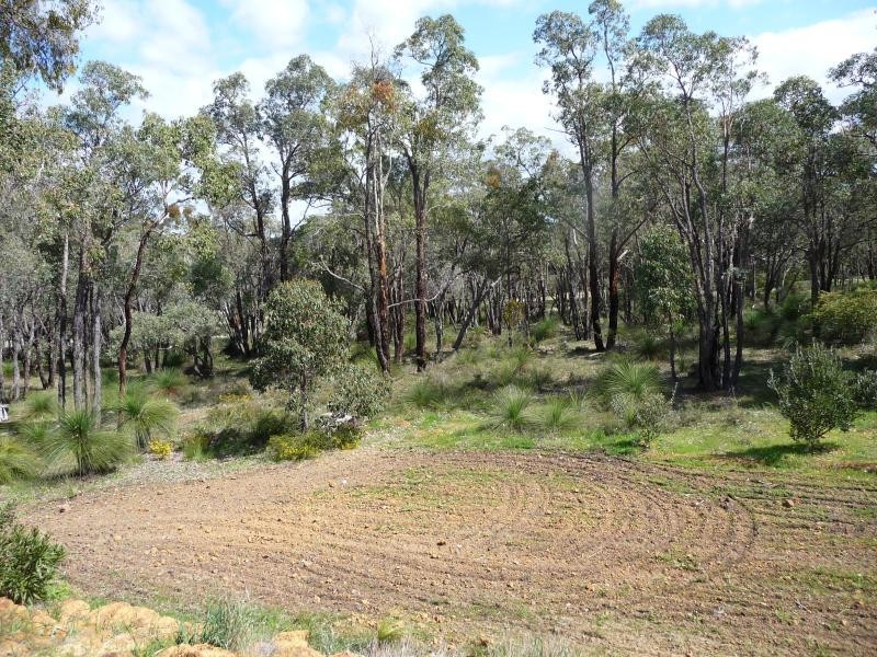 48 Ridgetop Trail, Bullsbrook WA 6084