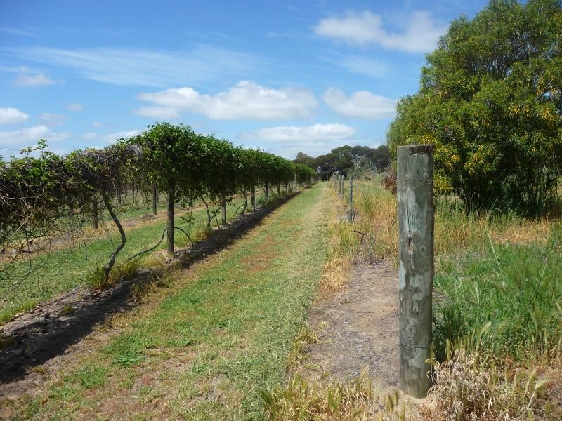 62 Cheriton Rd, Gingin WA 6503