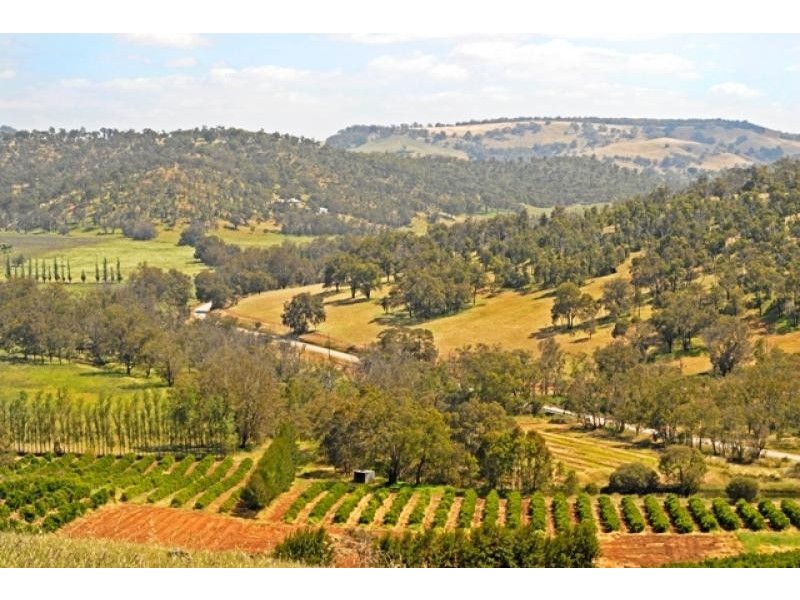 2837 Chittering Rd, Chittering WA 6084