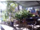 51 Archibald St, Muchea WA 6501