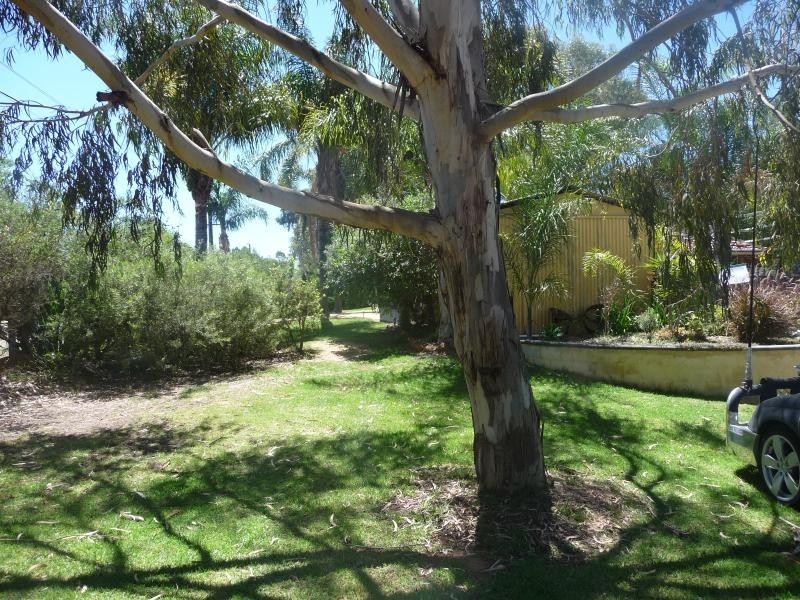51 Archibald St, Muchea WA 6501
