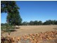 84 Jenkins Rd, Bullsbrook WA 6084