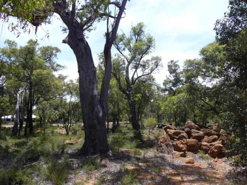 41 Robin Grove, Bindoon WA 6502