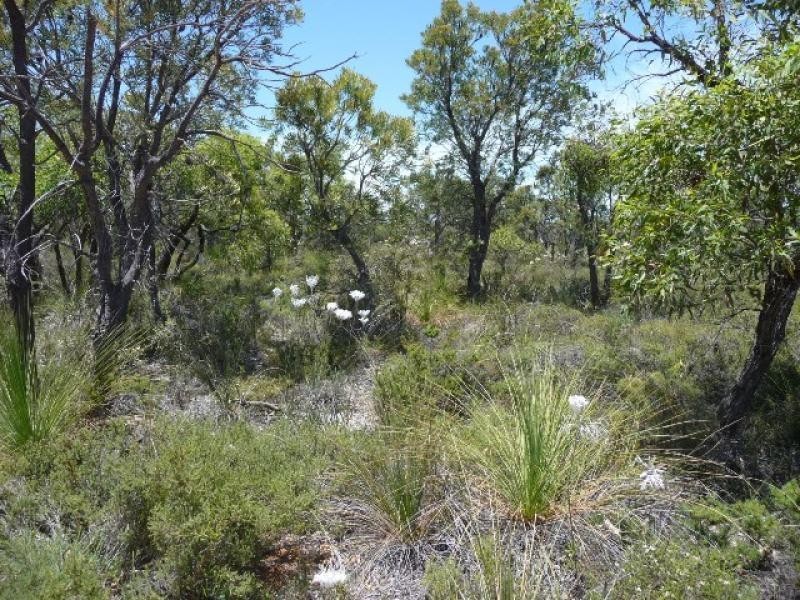 Lot 203 Blue Gum Way, Chittering WA 6084
