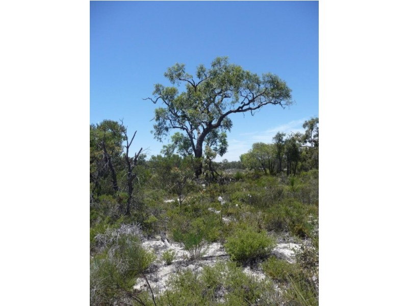 Lot 203 Blue Gum Way, Chittering WA 6084