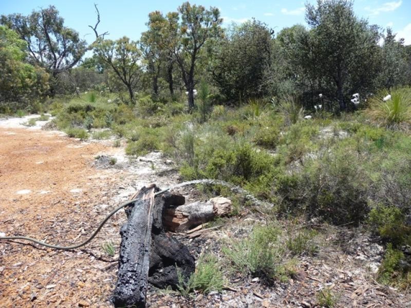 Lot 203 Blue Gum Way, Chittering WA 6084