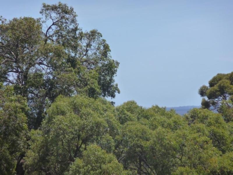 Lot 203 Studmaster View, Bullsbrook WA 6084