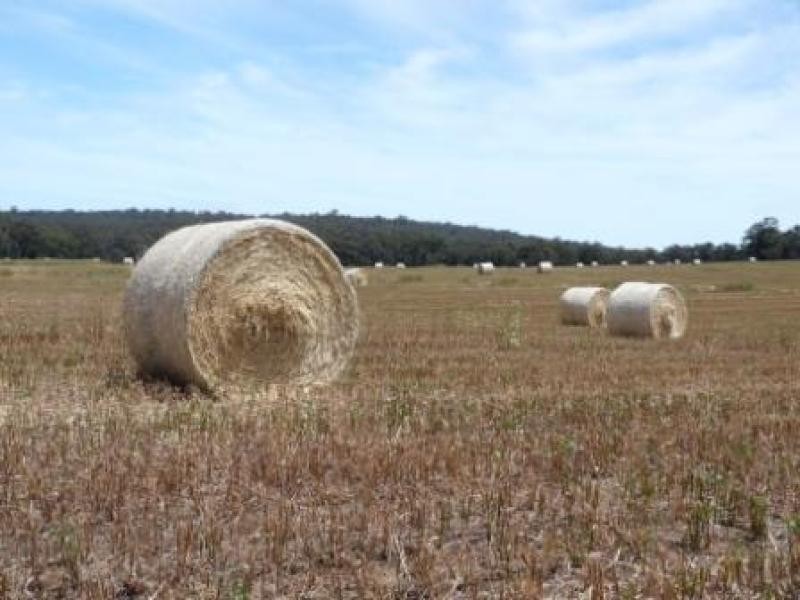 710 Coondle West Rd, Coondle WA 6566