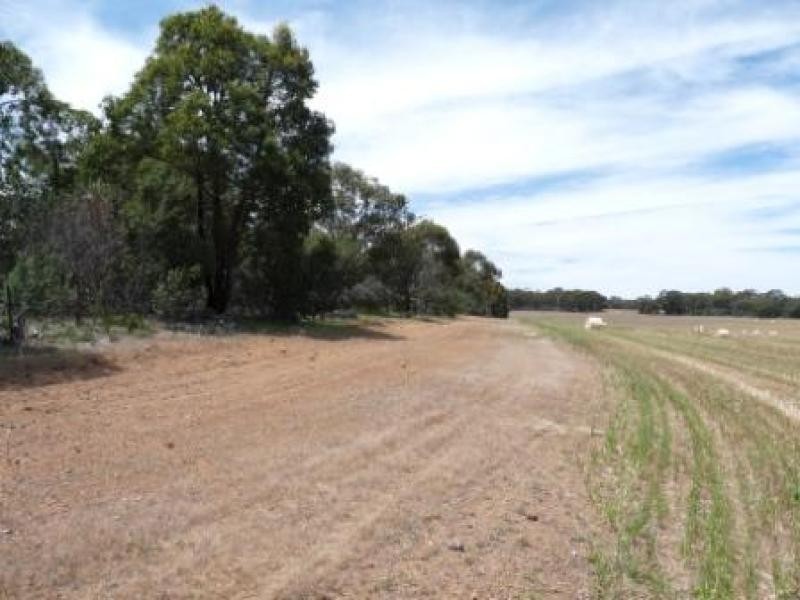 710 Coondle West Rd, Coondle WA 6566