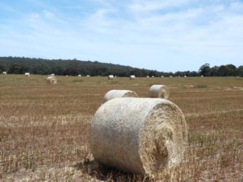 710 Coondle West Rd, Coondle WA 6566